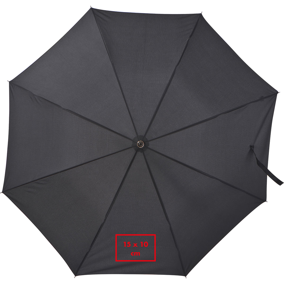 Automatik Regenschirm aus Pongee CELIA