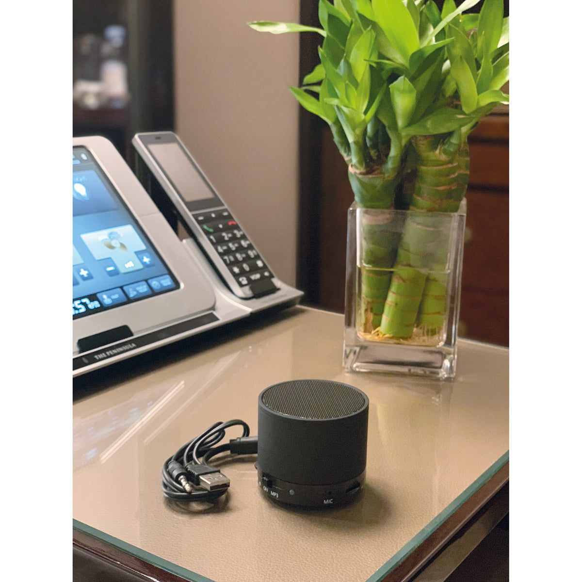 Bluetooth Lautsprecher mit USB Anschluss RENATA